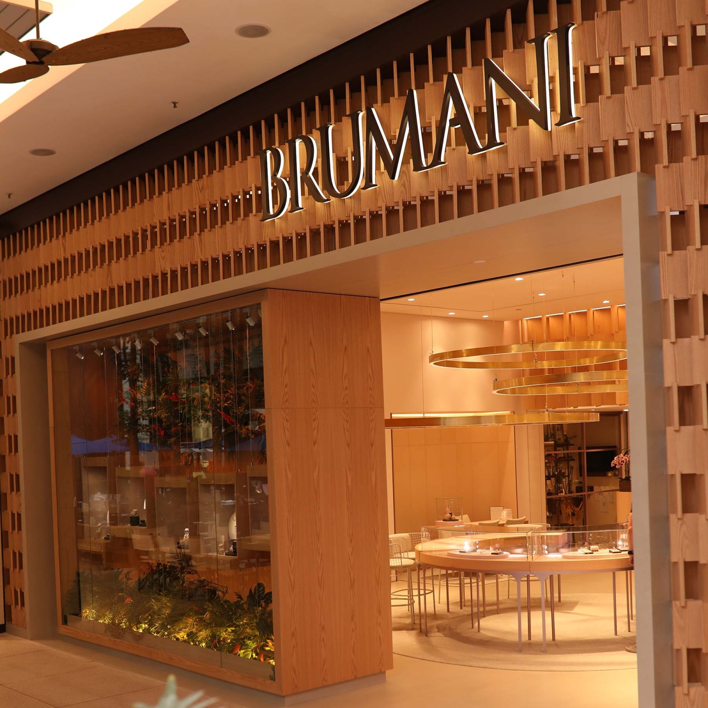 Brumani — История