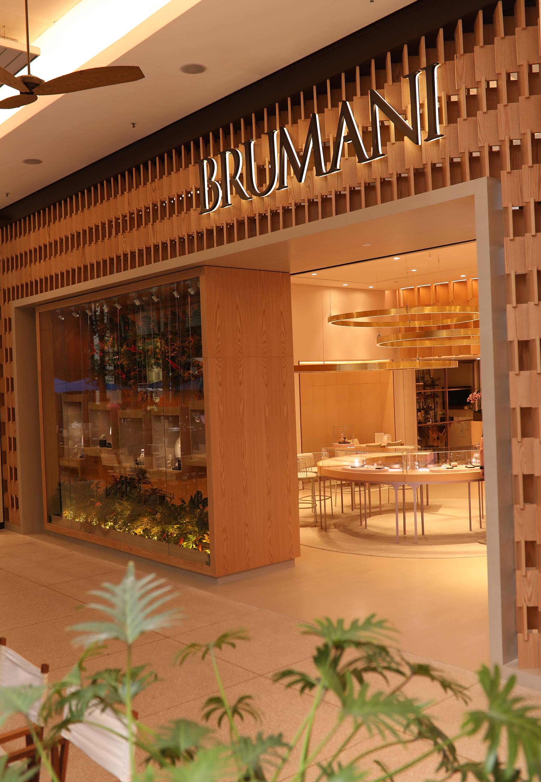 Brumani